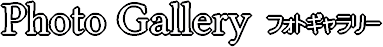 フォトギャラリー